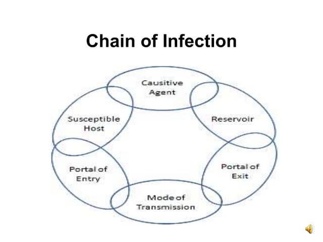 Chain infection hiv