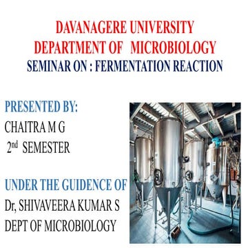 Fermentation 