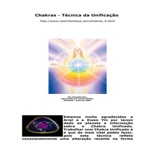 Chakras   Técnicas de Unificação
