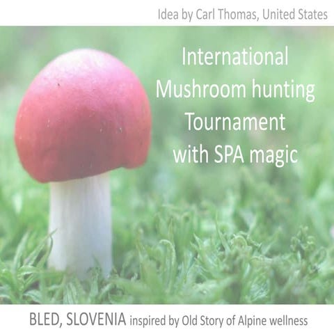 [Challenge:Future] Tournament & SPA combination