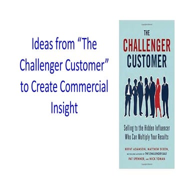 Ideas from The Challenger Customer