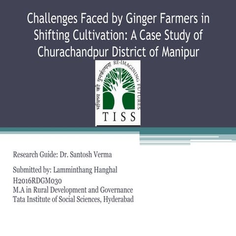 Challenges faced by ginger farmers in shifting cultivation