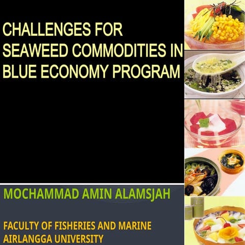 CHALLENGES FOR SEAWEED COMMODITIES IN BLUE ECONOMY [Autosaved].pptx