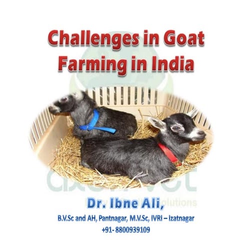 Challenges in goat farming in india - Goat Farming Consultancy