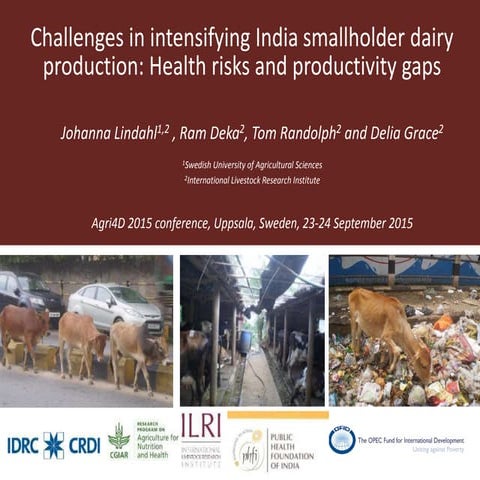 Challenges in intensifying India smallholder dairy production: Health risks a...