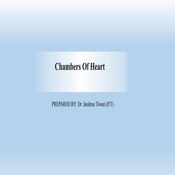 Chambers of heart 