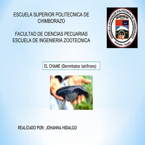 Comprehensive Study on El Chame (Dormitator latifrons): Biology ...