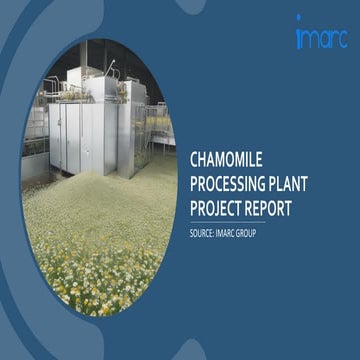 Peppermint Processing Plant Project Report.pptx