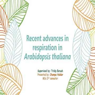 Recent advances in respiration in Arabidopsis thaliana