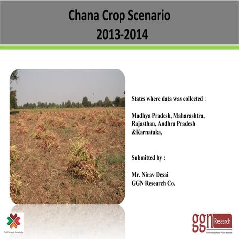 Chana crop scenario India -  2013 14