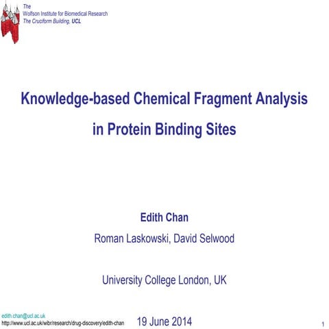 Knowledge-based chemical fragment analysis in protein binding sites