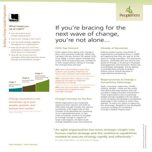 Change Capable Org 11