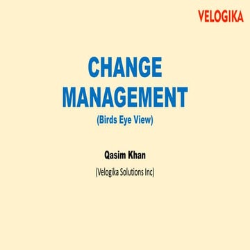 Change Management a Birds Eye View