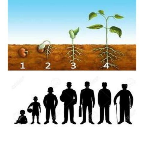 CHANGES AROUND US.pptx for class 7 , 8,9 and 10 for cbse students