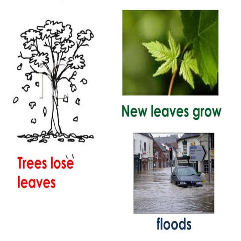 Changes in landscape 2