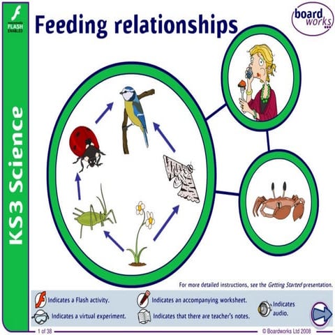Changes to food webs of living organisms.pdf
