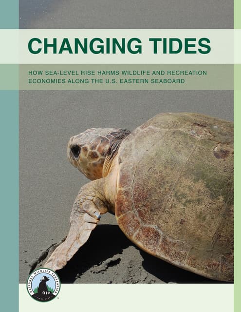 Changing Tides