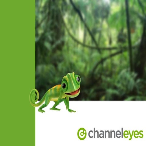 ChannelEyes - the single place to follow the Channel