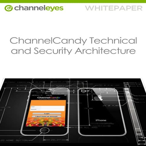 ChannelEyes Technical Whitepaper