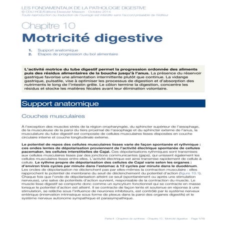 Motricité digestive