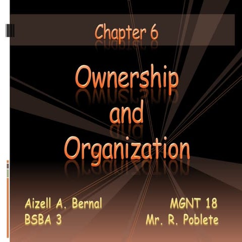 Ownership and Organization
