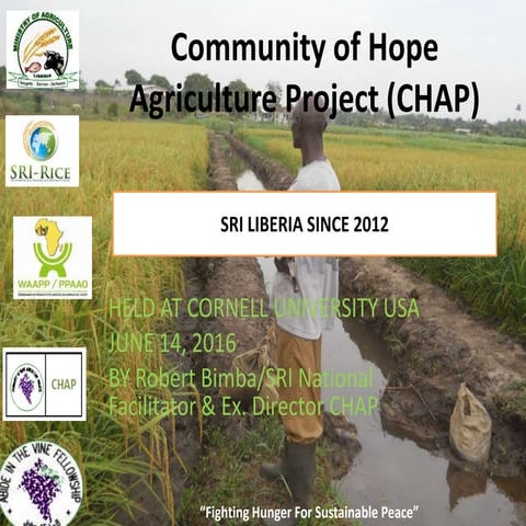 1605 - Community of Hope Agricultural Project - SRI in Liberia