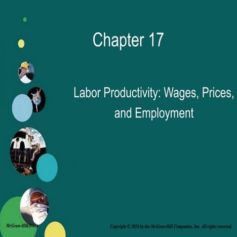 Labor Productivity: Wages, Prices,  and Employment
