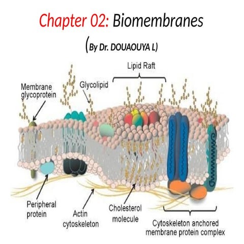 chap 02.(Les membranes biologiques) pptx