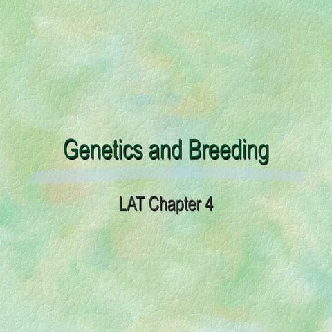 Chap 04 presentation