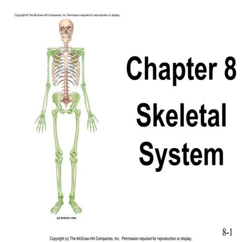 Chap08 Skeletal System