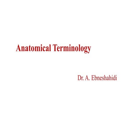 Chap1 anatomical terminology