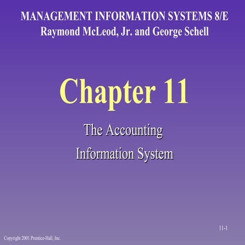 Chap11 | PPT | Databases | Computer Software and Applications