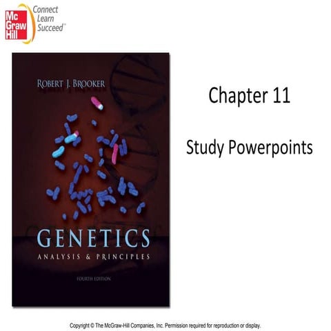 Chap11 studyppt | PPT