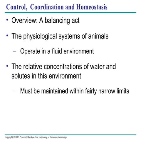 Chap 19 aice excretion