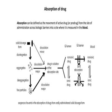 How drugs are distributed in the human body | PPTX