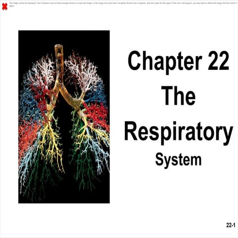 Chap22 powerpoint