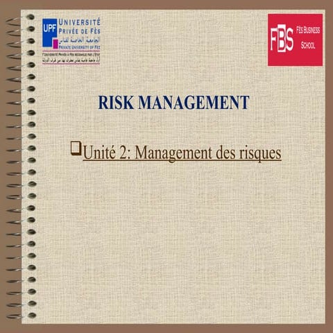 Formation Audit interne & management des risques | PDF