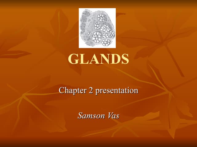 Chap 2 Presentation