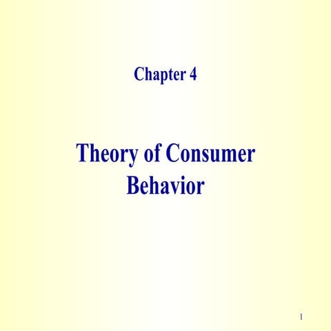 Theory of consumer behavior