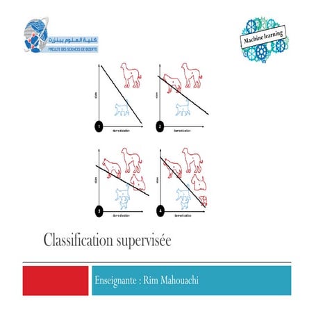chap5lkedlmfvfvffdffd-classification.pdf