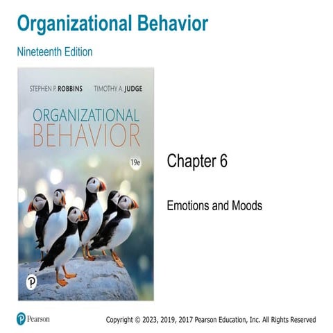Organizational Behavior chapter number six