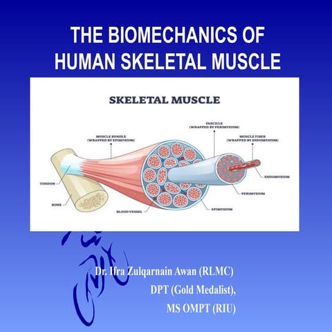 Chap 6 "Human Biomechanics: Skeletal Muscles"