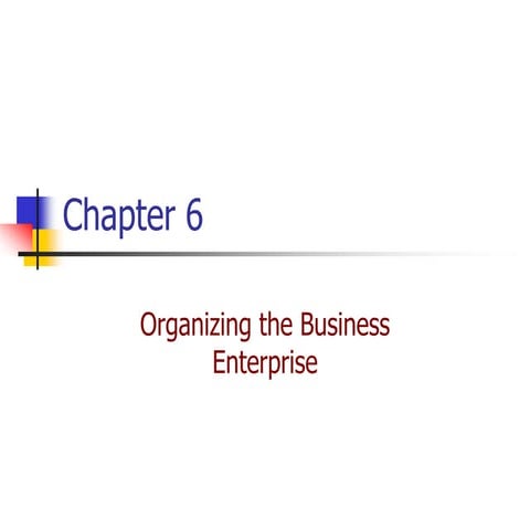 Chap 6 organizing the business enterprise