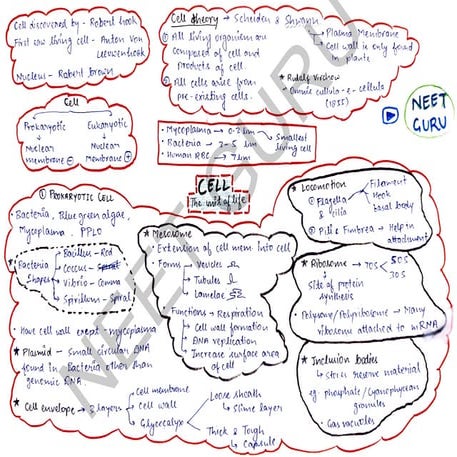 CELL STRUCTURE AND FUNCTION CLASS 11 NCERT PDF DOWNLOAD visual data 7