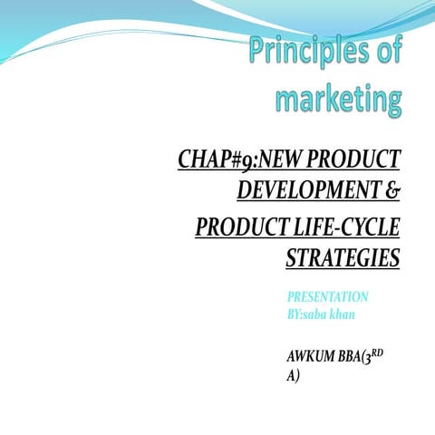 new product development and product life-cycle strategies 