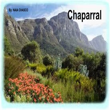 Chaparral