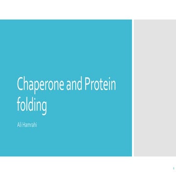 Chaperone and protein folding