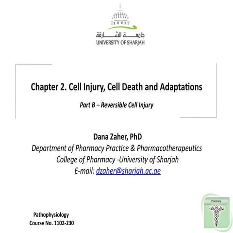 Comprehensive Overview of Reversible Cell Injury in Pathophysiology | PPTX