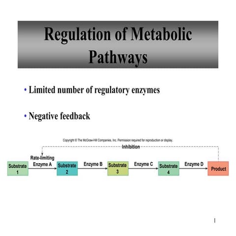 chapt04_Part_2_holes_lecture_animation_jwt.ppt