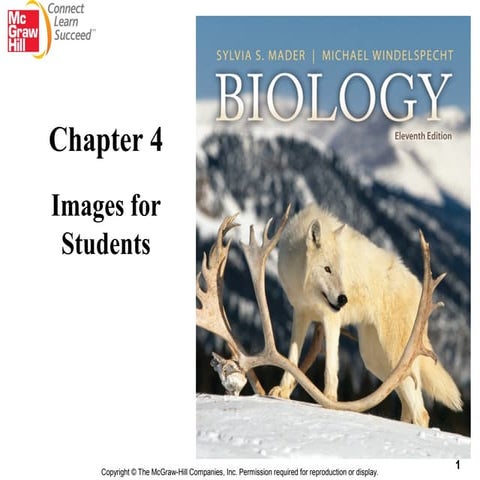 Chapt04 student image